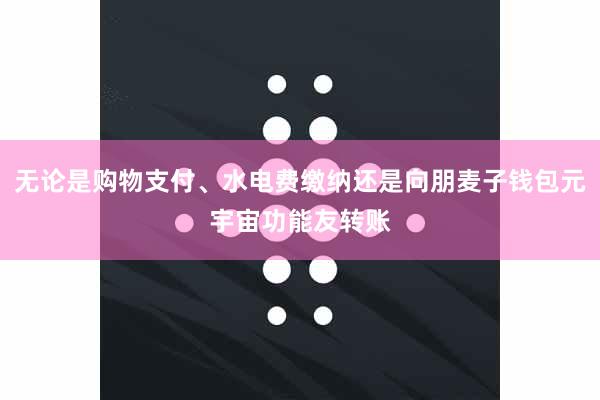 无论是购物支付、水电费缴纳还是向朋麦子钱包元宇宙功能友转账