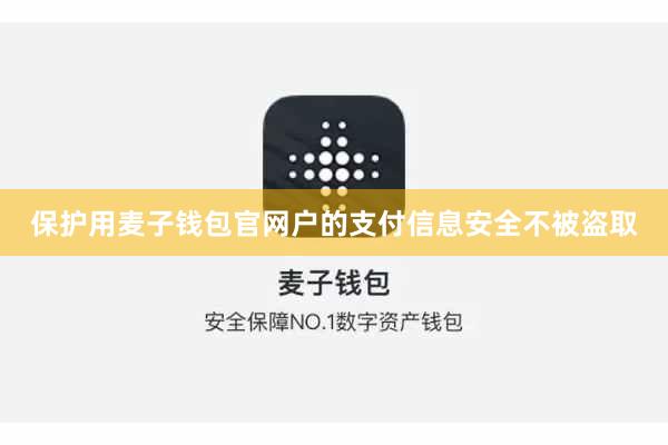 保护用麦子钱包官网户的支付信息安全不被盗取