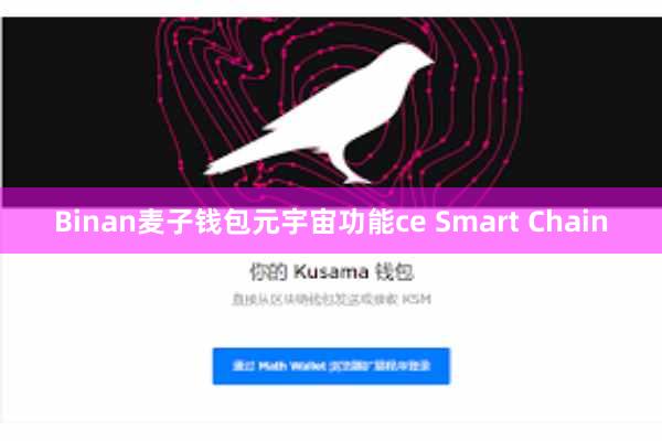 Binan麦子钱包元宇宙功能ce Smart Chain