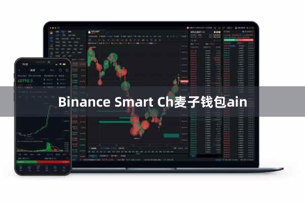 Binance Smart Ch麦子钱包ain