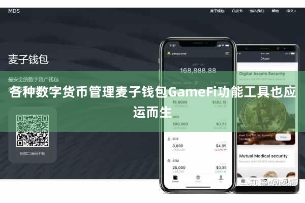 各种数字货币管理麦子钱包GameFi功能工具也应运而生