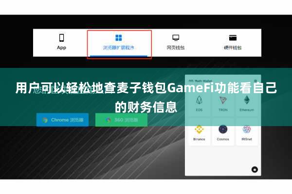 用户可以轻松地查麦子钱包GameFi功能看自己的财务信息