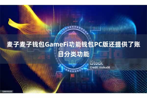 麦子麦子钱包GameFi功能钱包PC版还提供了账目分类功能