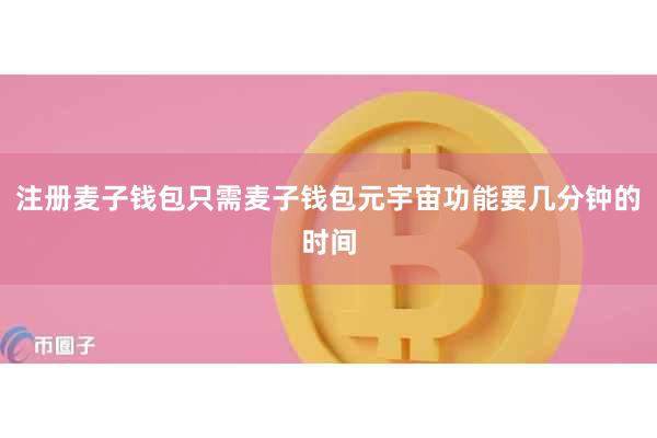 注册麦子钱包只需麦子钱包元宇宙功能要几分钟的时间