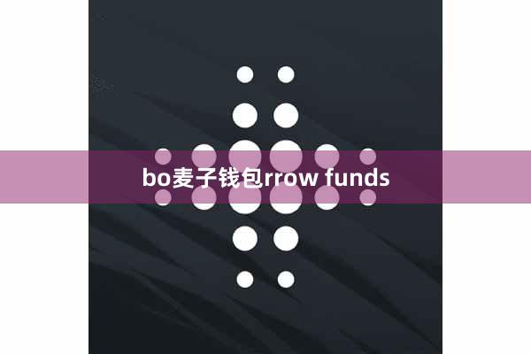 bo麦子钱包rrow funds