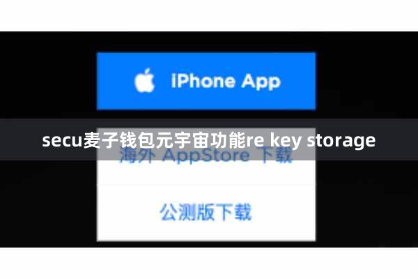 secu麦子钱包元宇宙功能re key storage