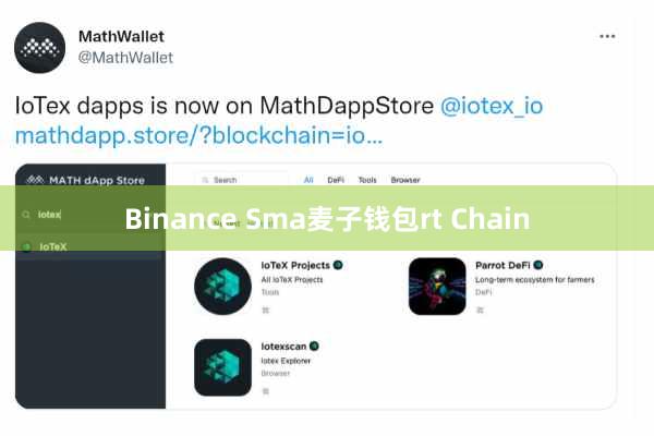 Binance Sma麦子钱包rt Chain