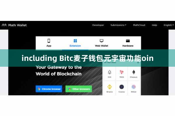 including Bitc麦子钱包元宇宙功能oin