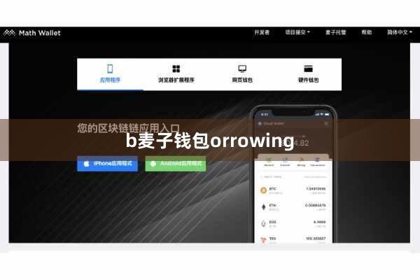 b麦子钱包orrowing