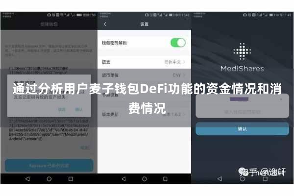 通过分析用户麦子钱包DeFi功能的资金情况和消费情况