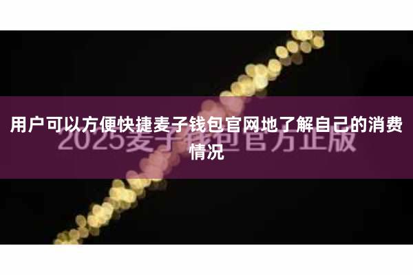用户可以方便快捷麦子钱包官网地了解自己的消费情况