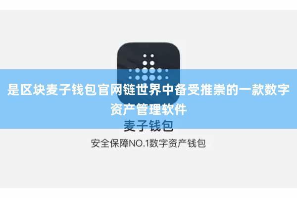 是区块麦子钱包官网链世界中备受推崇的一款数字资产管理软件