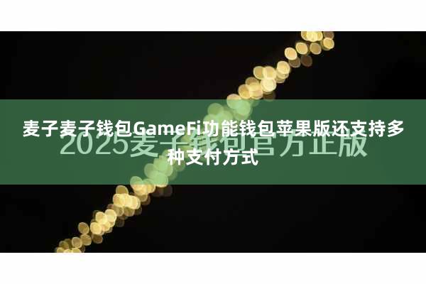 麦子麦子钱包GameFi功能钱包苹果版还支持多种支付方式