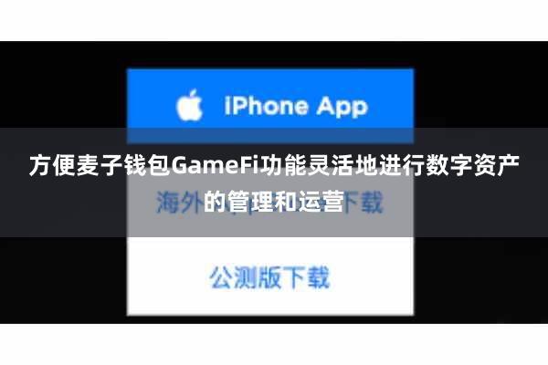 方便麦子钱包GameFi功能灵活地进行数字资产的管理和运营