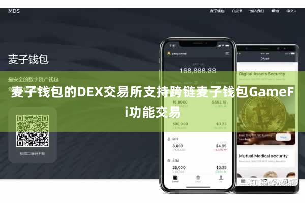 麦子钱包的DEX交易所支持跨链麦子钱包GameFi功能交易