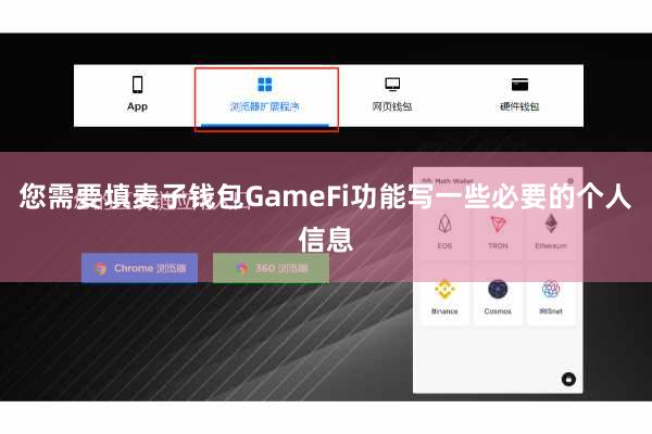 您需要填麦子钱包GameFi功能写一些必要的个人信息