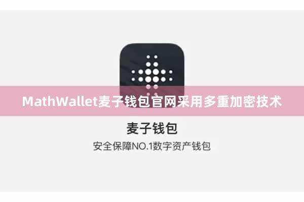 MathWallet麦子钱包官网采用多重加密技术