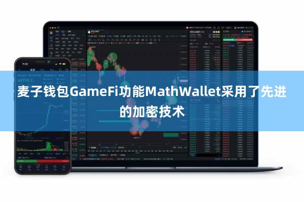 麦子钱包GameFi功能MathWallet采用了先进的加密技术