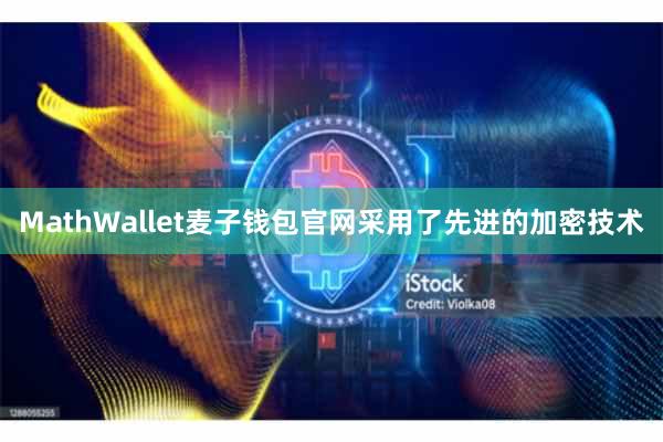 MathWallet麦子钱包官网采用了先进的加密技术